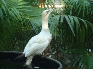 DSC04765