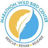 Marathon Wild Bird Center